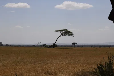 DSC_3584 (Large).JPG